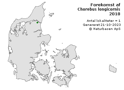 Chorebus longicornis - udbredelseskort