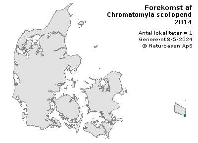 Chromatomyia scolopendri - udbredelseskort