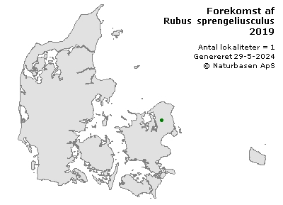 Rubus sprengeliusculus - udbredelseskort