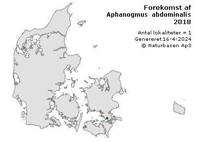 Aphanogmus abdominalis - udbredelseskort