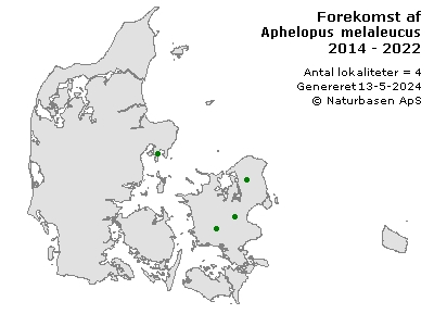 Aphelopus melaleucus - udbredelseskort