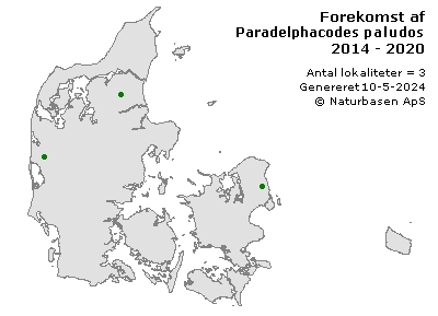 Paradelphacodes paludosus - udbredelseskort
