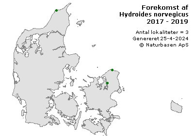 Hydroides norvegicus - udbredelseskort