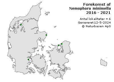 Nemophora minimella - udbredelseskort