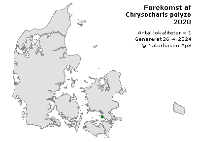 Chrysocharis polyzo - udbredelseskort