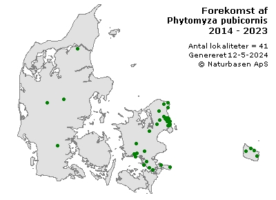 Phytomyza pubicornis - udbredelseskort