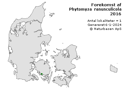 Phytomyza ranunculicola - udbredelseskort