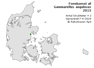 Gammarellus angulosus - udbredelseskort