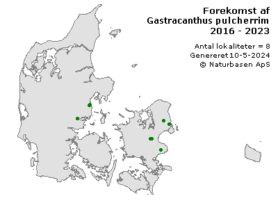 Gastracanthus pulcherrimus - udbredelseskort