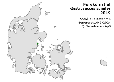 Gastrosaccus spinifer - udbredelseskort