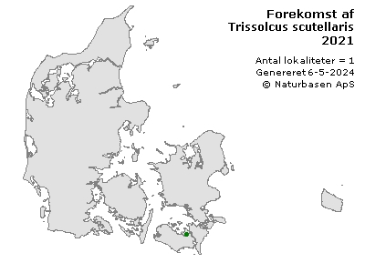 Trissolcus scutellaris - udbredelseskort