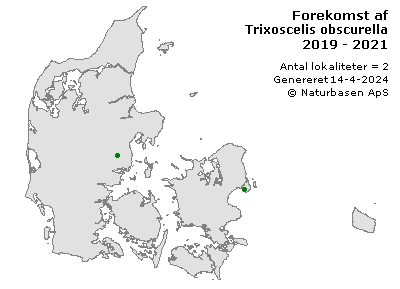 Trixoscelis obscurella - udbredelseskort