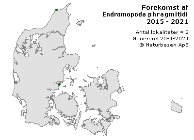 Endromopoda phragmitidis - udbredelseskort