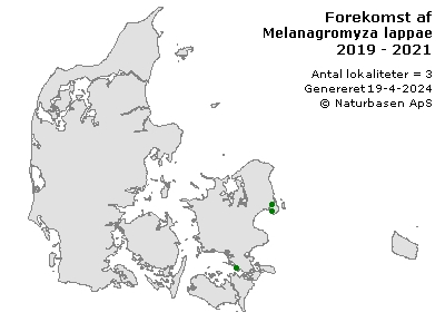 Melanagromyza lappae - udbredelseskort