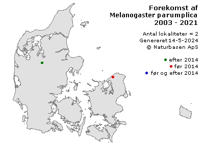 Melanogaster parumplicata - udbredelseskort