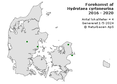 Hydrotaea cyrtoneurina - udbredelseskort