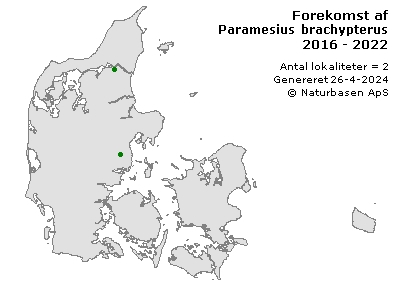 Paramesius brachypterus - udbredelseskort