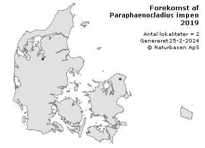 Paraphaenocladius impensus - udbredelseskort