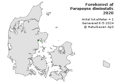 Parapoynx diminutalis - udbredelseskort