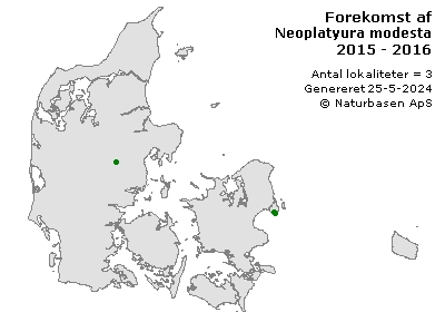 Neoplatyura modesta - udbredelseskort