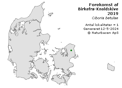 Birkefrø-Knoldskive - udbredelseskort