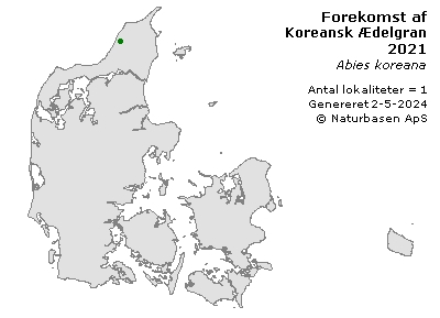Koreansk Ædelgran - udbredelseskort