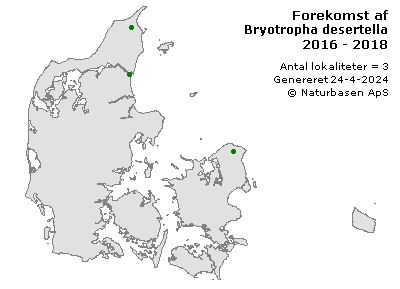 Bryotropha desertella - udbredelseskort