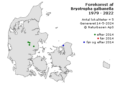 Bryotropha galbanella - udbredelseskort