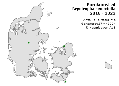 Bryotropha senectella - udbredelseskort