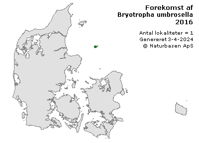 Bryotropha umbrosella - udbredelseskort