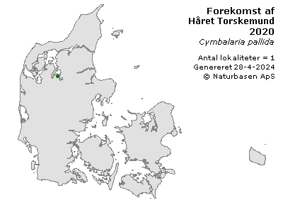 Håret Torskemund - udbredelseskort