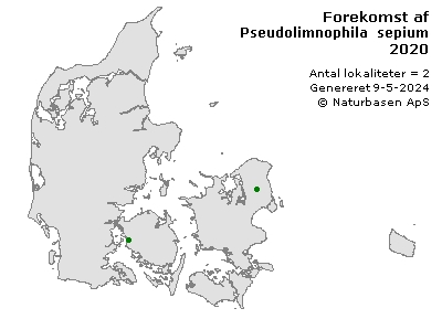 Pseudolimnophila sepium - udbredelseskort