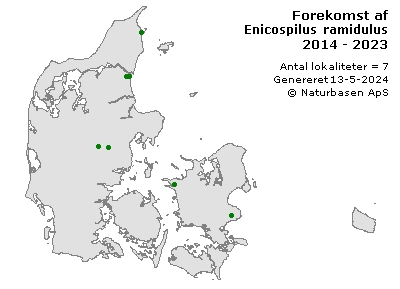 Enicospilus ramidulus - udbredelseskort
