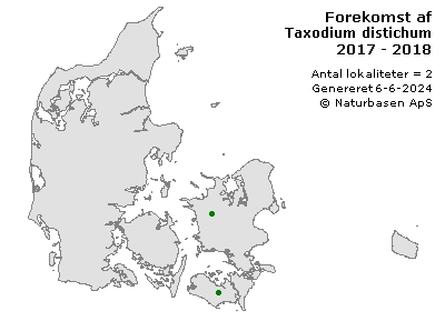 Taxodium distichum - udbredelseskort