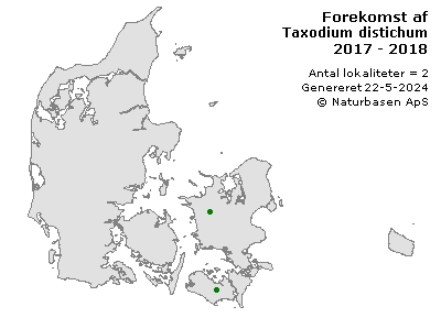 Taxodium distichum - udbredelseskort