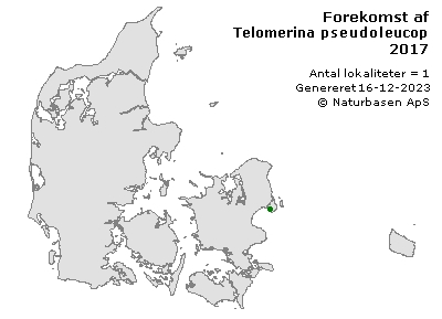 Telomerina pseudoleucoptera - udbredelseskort