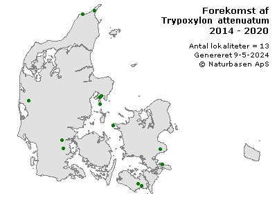 Trypoxylon attenuatum - udbredelseskort