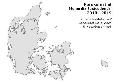 Monardia toxicodendri - udbredelseskort
