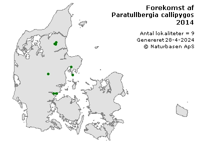 Paratullbergia callipygos - udbredelseskort