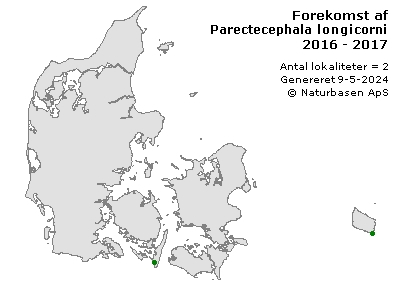 Parectecephala longicornis - udbredelseskort