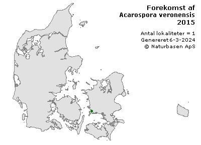 Acarospora veronensis - udbredelseskort