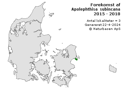 Apolephthisa subincana - udbredelseskort