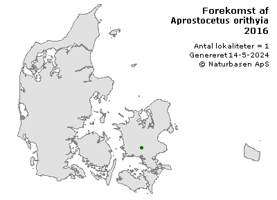 Aprostocetus orithyia - udbredelseskort