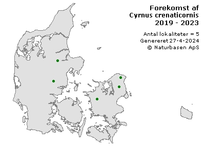 Cyrnus crenaticornis - udbredelseskort