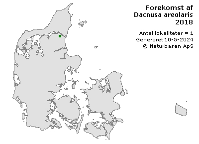 Dacnusa areolaris - udbredelseskort