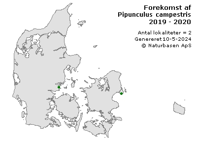 Pipunculus campestris - udbredelseskort