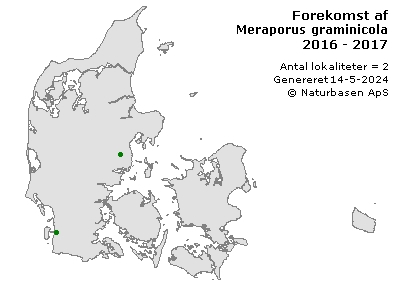 Meraporus graminicola - udbredelseskort