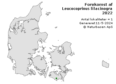 Leucocoprinus lilacinogranulosus - udbredelseskort
