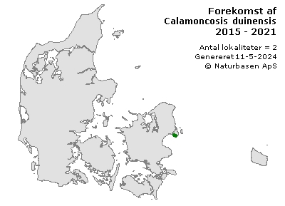 Calamoncosis duinensis - udbredelseskort