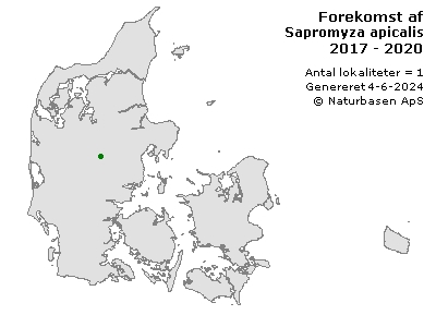 Sapromyza apicalis - udbredelseskort